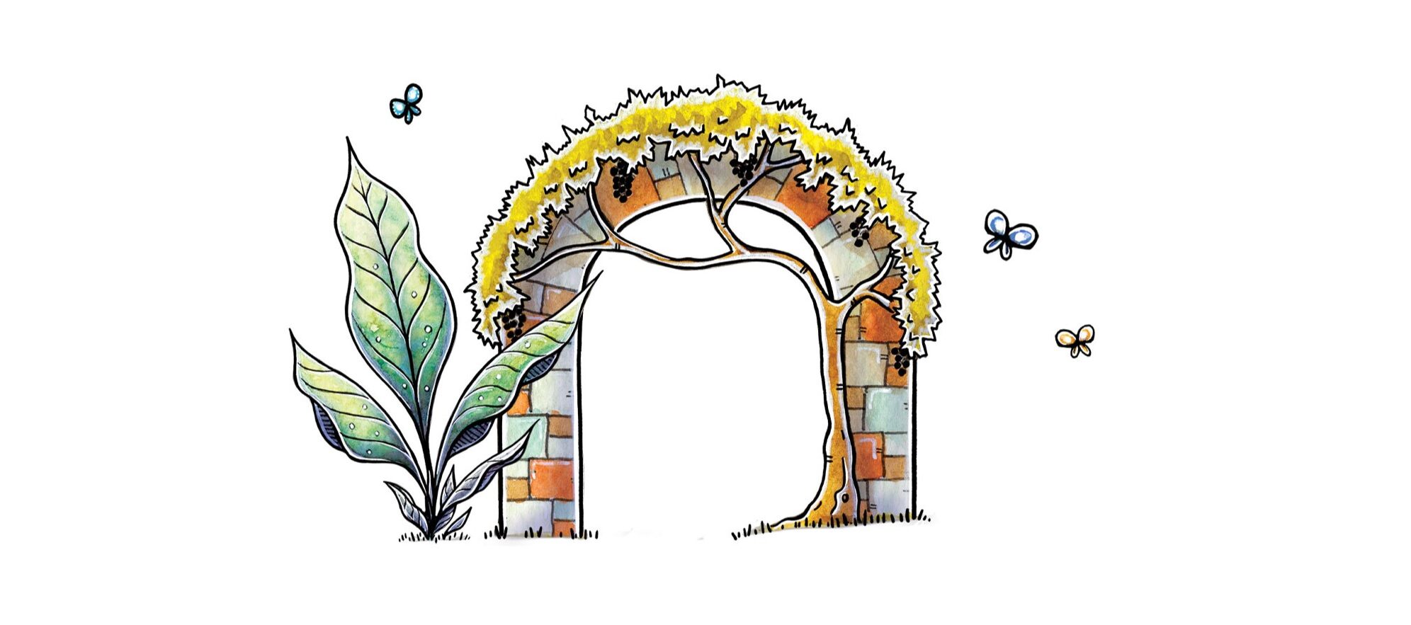 Illustration plantes | Héloïse Gautier
