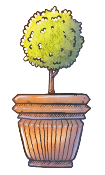 Plante - Héloïse Gautier Illustration