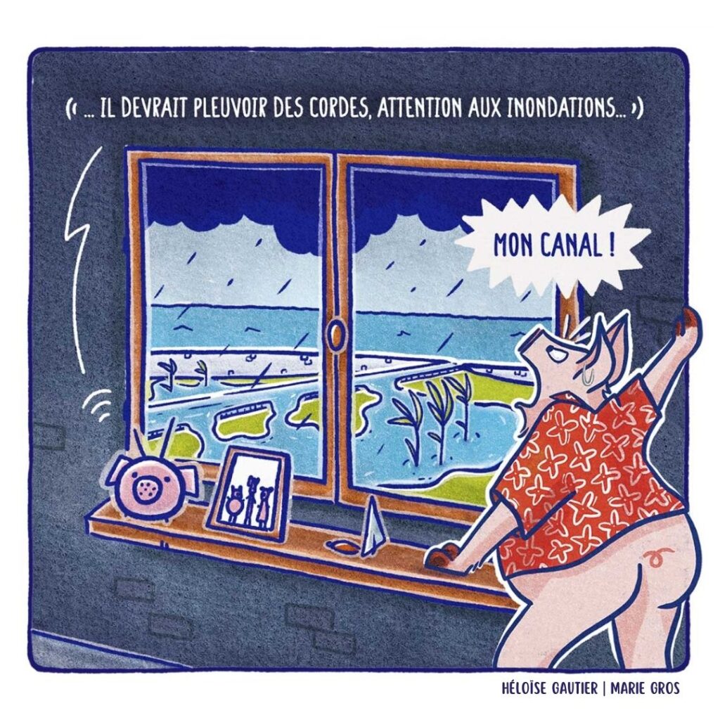 C5 - Les trois petits cochons et le grand méchangement climatique - Héloïse Gautier | Marie Gros