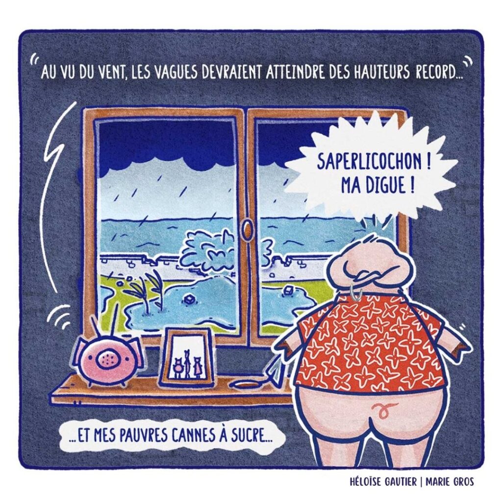 C6 - Les trois petits cochons et le grand méchangement climatique - Héloïse Gautier | Marie Gros