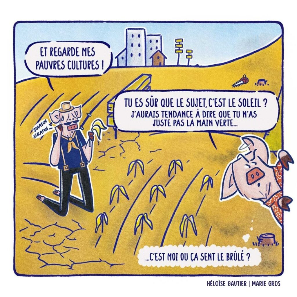 C12 - Les trois petits cochons et le grand méchangement climatique - Héloïse Gautier | Marie Gros