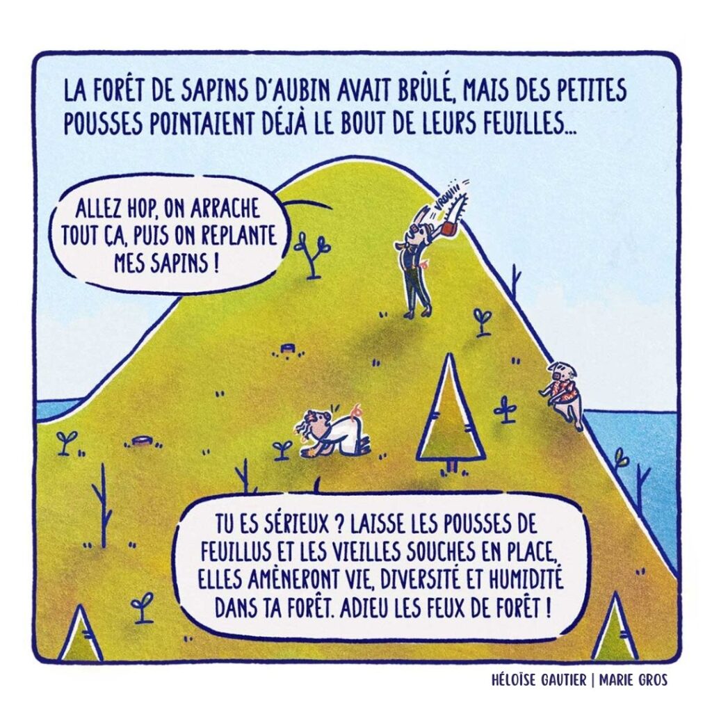 C22 - Les trois petits cochons et le grand méchangement climatique - Héloïse Gautier | Marie Gros