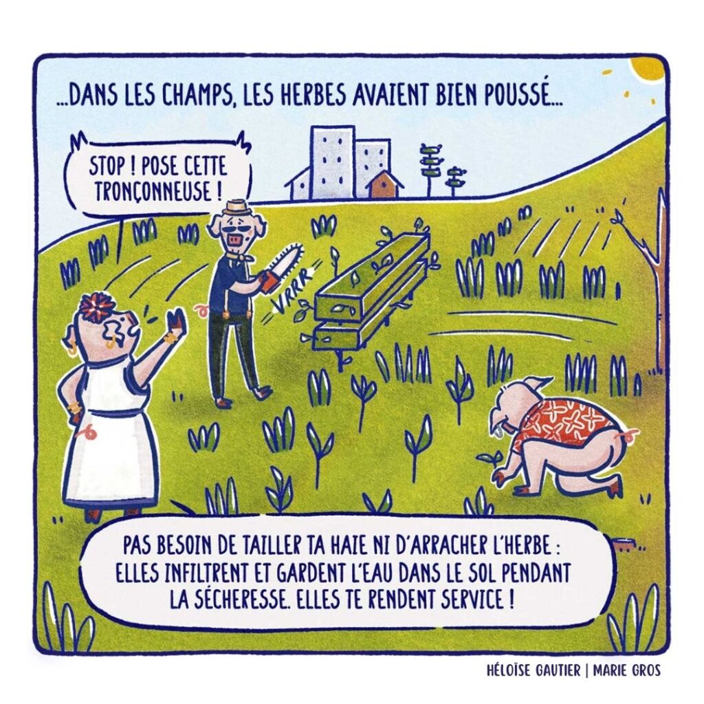 C23 - Les trois petits cochons et le grand méchangement climatique - Héloïse Gautier | Marie Gros